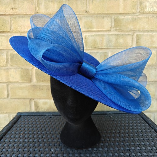 Blue large hatinator
