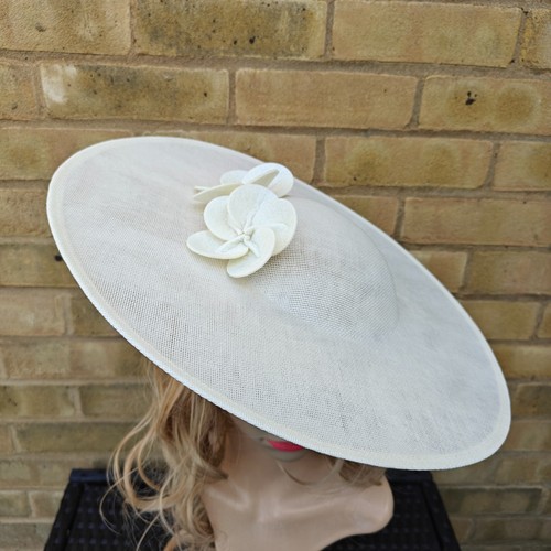 Ivory cream flower wide - flower,