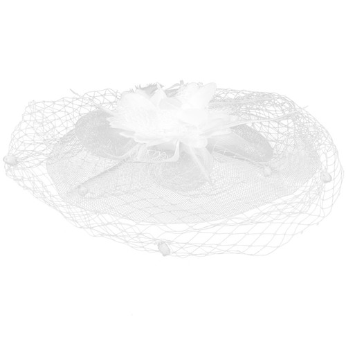 Charming white mesh veil - charming,